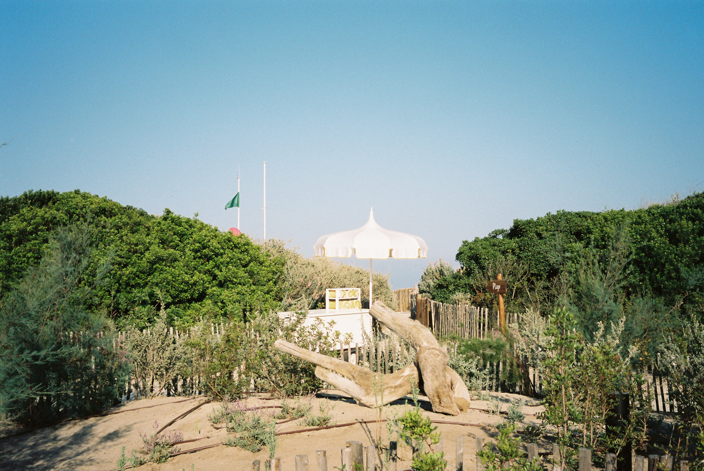 Beach Path